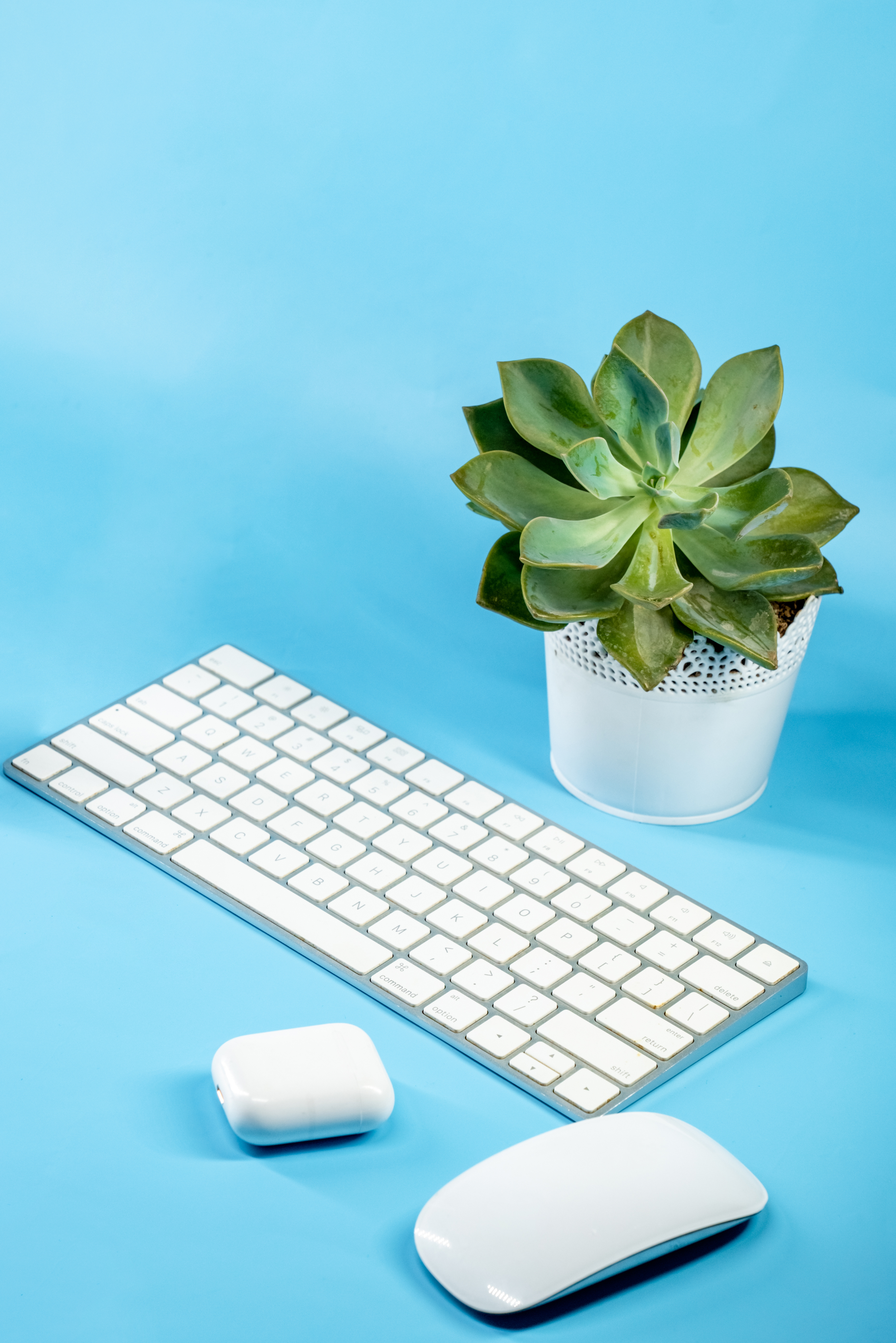 Keyboards, Mice & More*